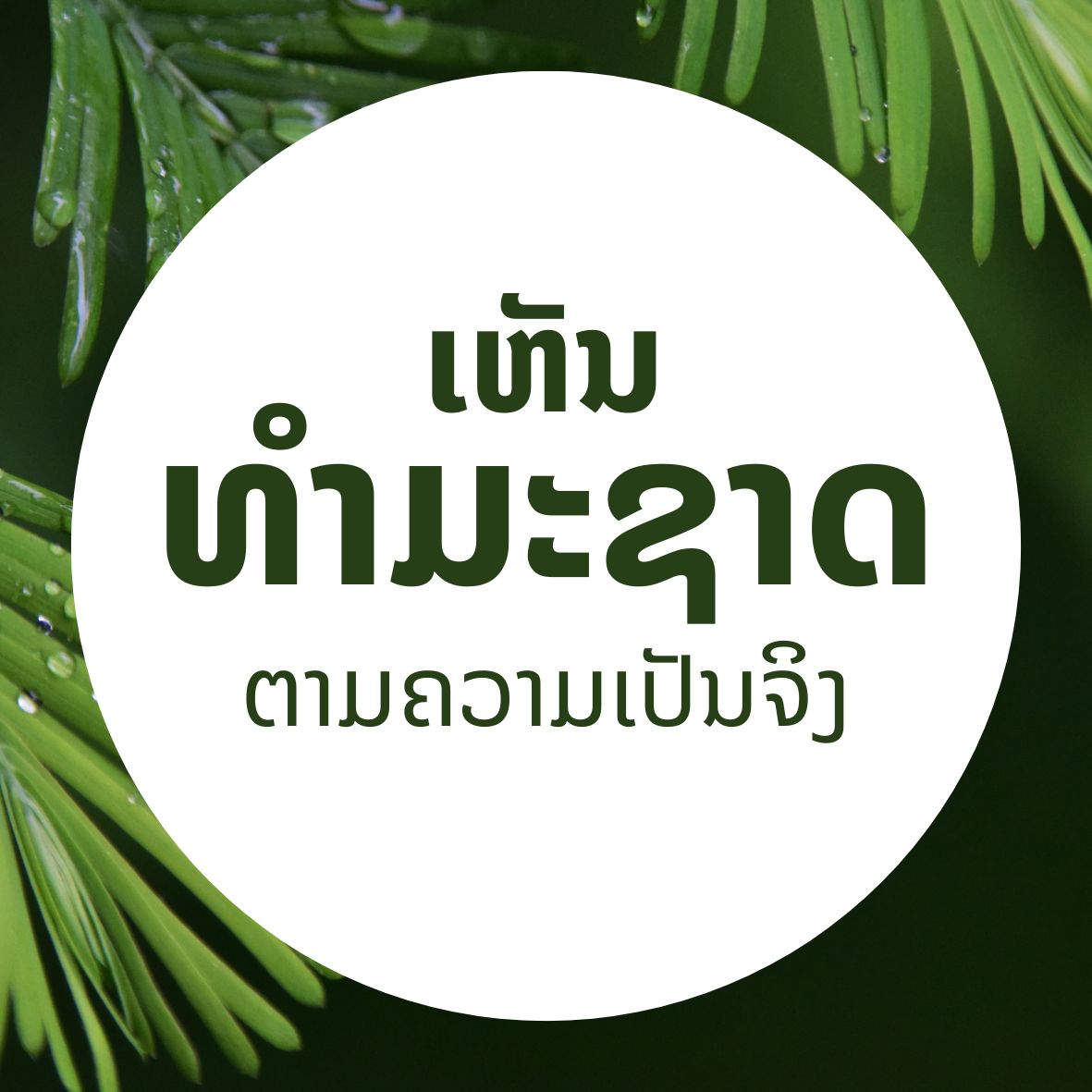 ທຳມະຊາດ